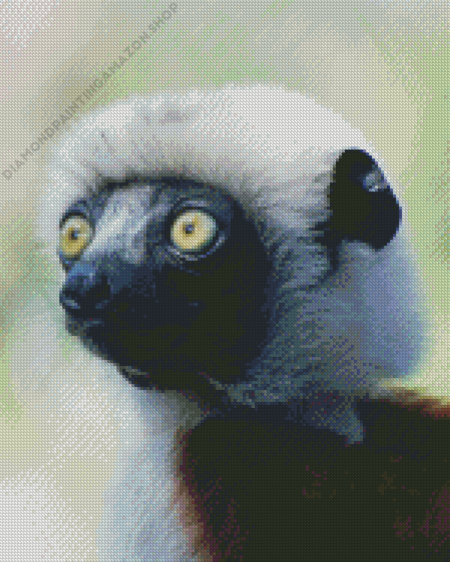 Sifaka Diamond Painting