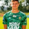 Slask Wroclaw Player Diamond Painting