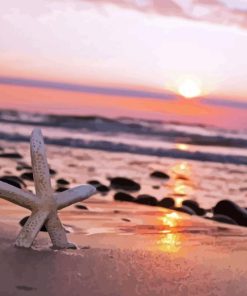 Starfish On Beach Diamond Painting