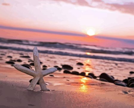 Starfish On Beach Diamond Painting