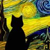 Starry Night Cat Diamond Painting