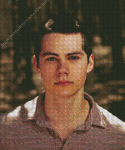 Stiles Stilinski Diamond Painting