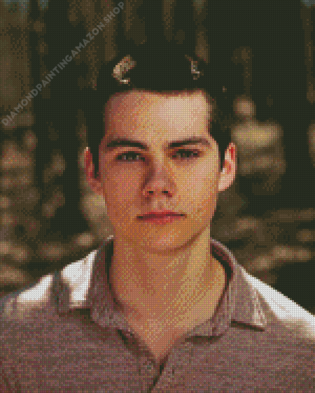 Stiles Stilinski Diamond Painting