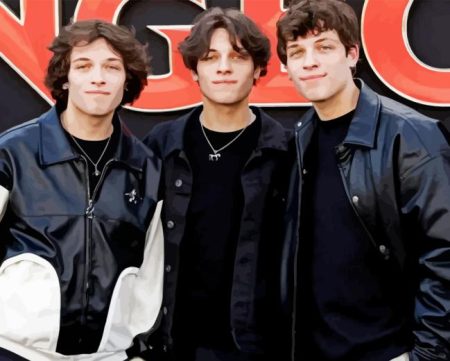 Sturniolo Triplets Diamond Painting