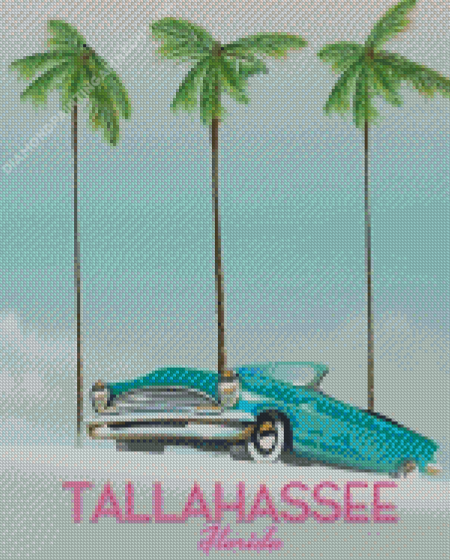 Tallahassee Florida Poster Diamond Painting