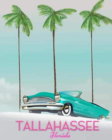 Tallahassee Florida Poster Diamond Painting