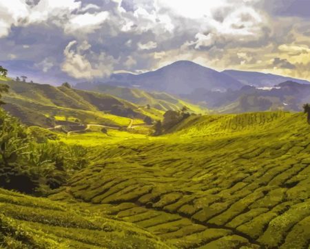 Tea Fields Diamond Painting