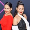 The Bella Twins Diamond Painting