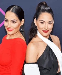 The Bella Twins Diamond Painting