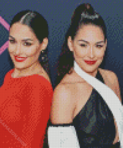 The Bella Twins Diamond Painting