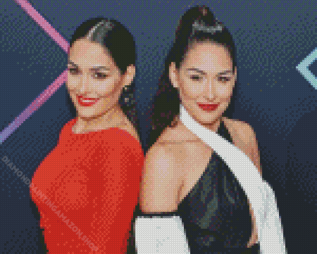 The Bella Twins Diamond Painting