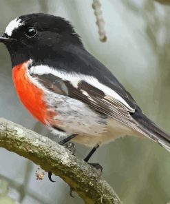 The Scarlet Robin Diamond Painting