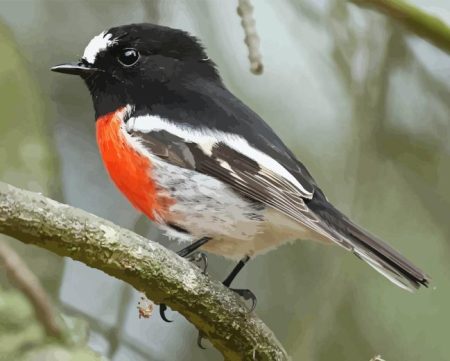 The Scarlet Robin Diamond Painting