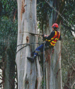 The Arborist Man Diamond Painting