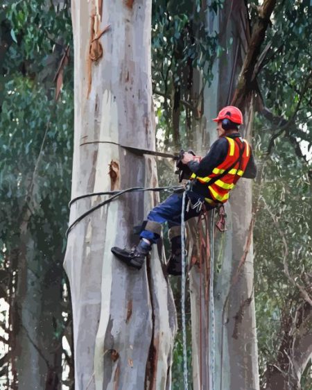 The Arborist Man Diamond Painting