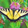 Tiger Swallowtail Diamond Painting