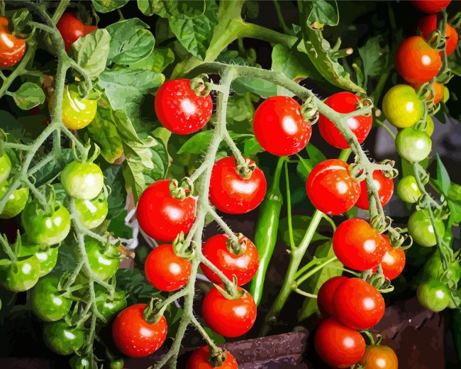 Tomato Plant Diamond Painting