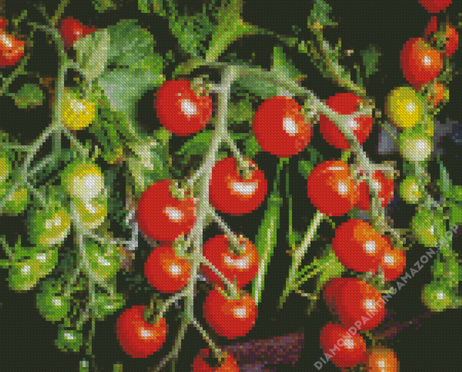 Tomato Plant Diamond Painting