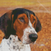 Treeing Walker Coonhound Diamond Painting