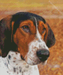 Treeing Walker Coonhound Diamond Painting