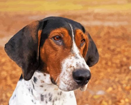 Treeing Walker Coonhound Diamond Painting