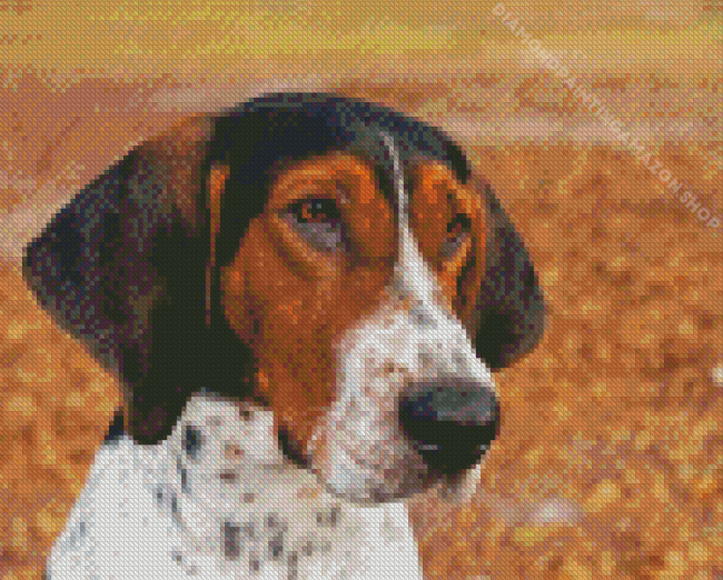 Treeing Walker Coonhound Diamond Painting