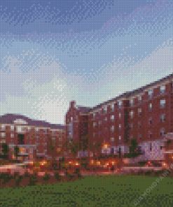 University Of Georgia Diamond Painting