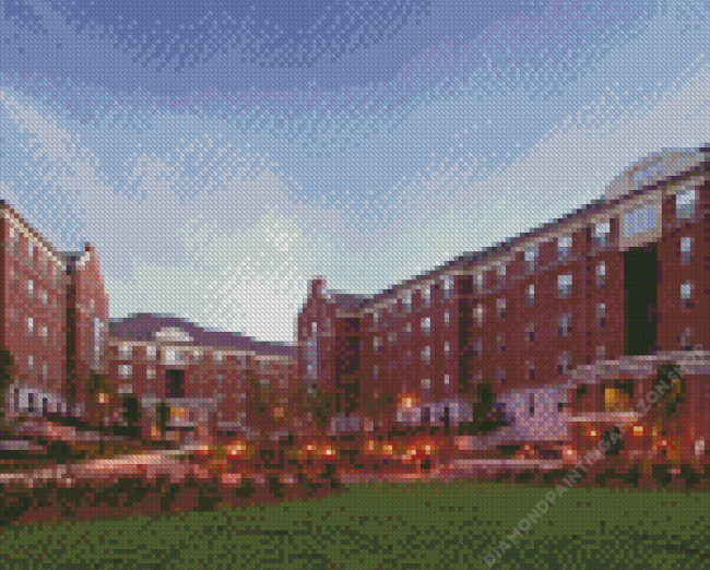 University Of Georgia Diamond Painting