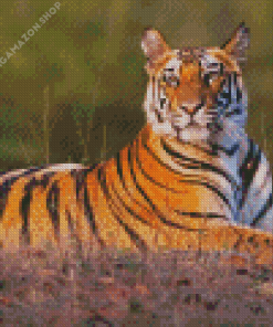 Wild Tiger Animal Diamond Painting