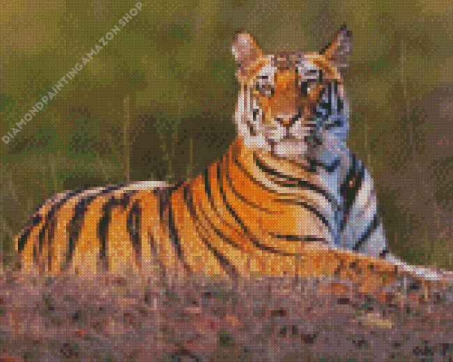 Wild Tiger Animal Diamond Painting