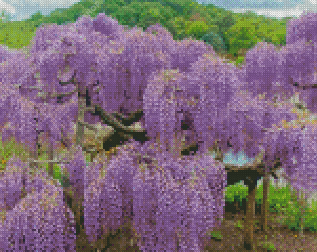 Wisteria Tree Diamond Painting