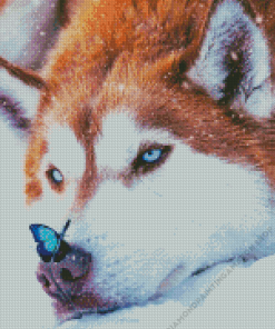 Wolf With Butterfly Diamond Painting