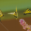 Yellow And Black Butterflies Diamond Painting