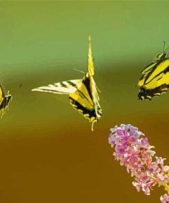 Yellow And Black Butterflies Diamond Painting