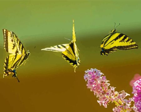 Yellow And Black Butterflies Diamond Painting