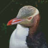 Yellow Eyed Penguin Diamond Painting