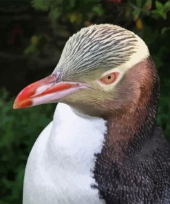 Yellow Eyed Penguin Diamond Painting