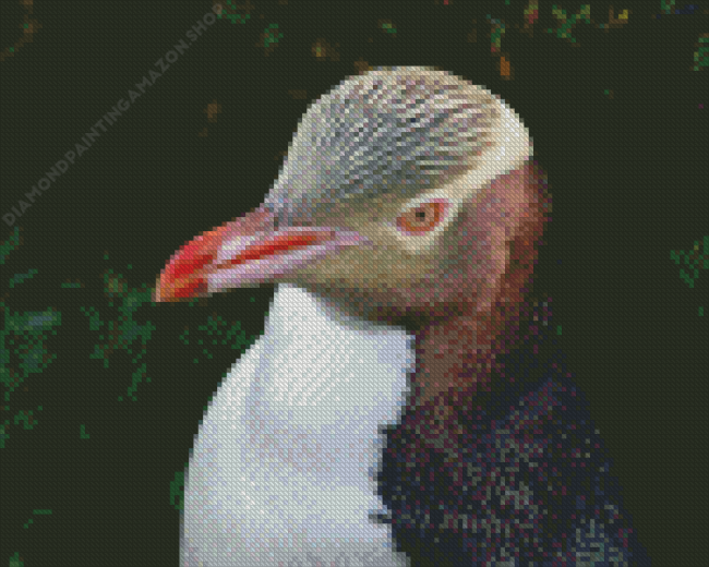 Yellow Eyed Penguin Diamond Painting