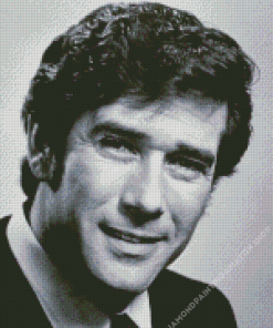 Young Robert Fuller Diamond Painting