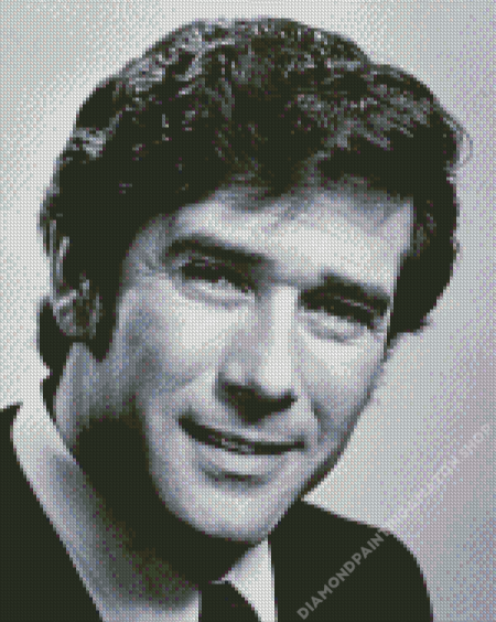 Young Robert Fuller Diamond Painting