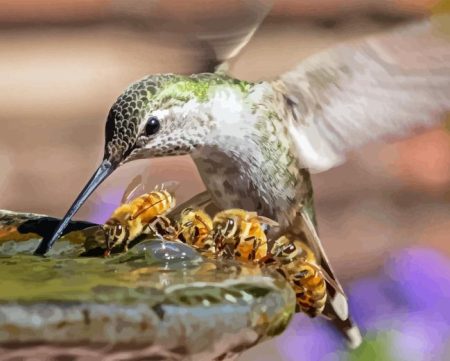 Bee And Hummingbird Diamond Painting
