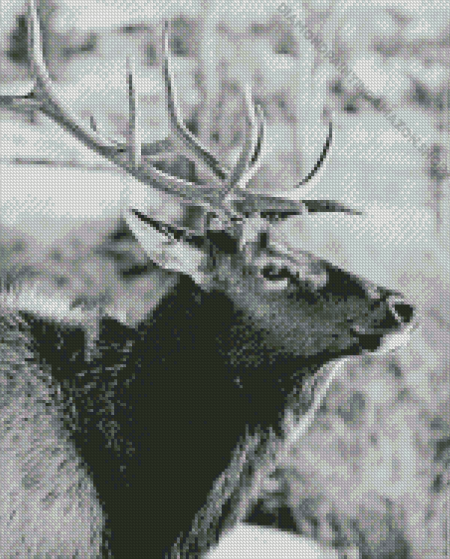 Black And White Elk Diamond Painting