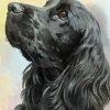 Black English Spaniel Diamond Painting