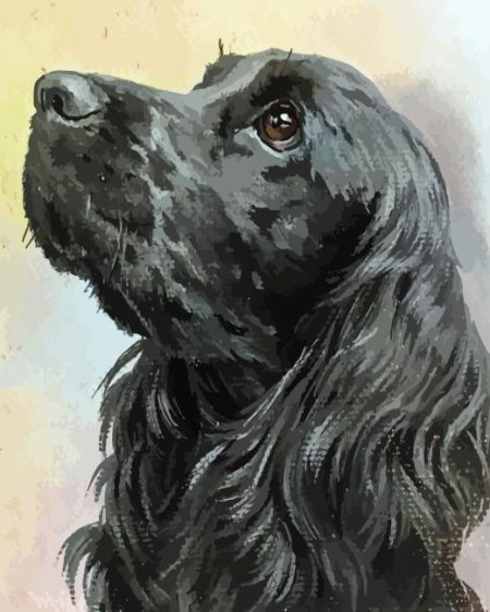 Black English Spaniel Diamond Painting