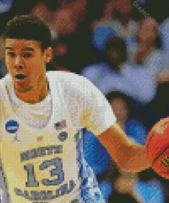 Cameron Johnson Diamond Painting