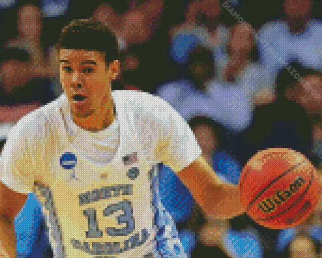 Cameron Johnson Diamond Painting