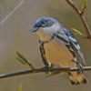 Cerulean Warbler Diamond Painting