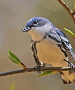 Cerulean Warbler Diamond Painting