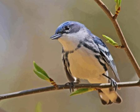 Cerulean Warbler Diamond Painting