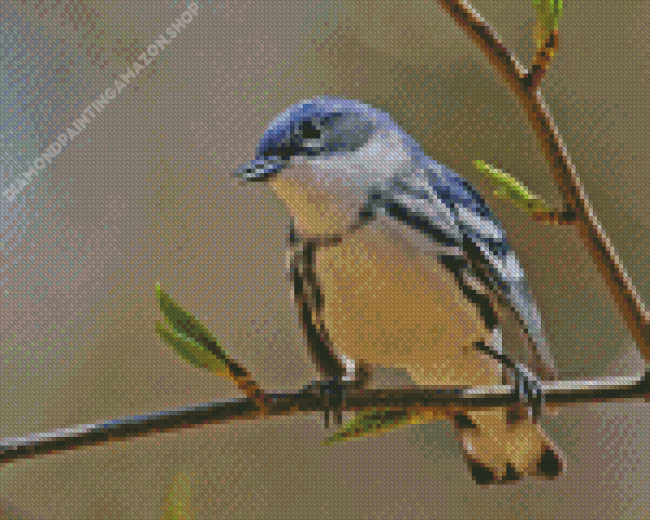 Cerulean Warbler Diamond Painting